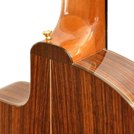 ELEKTRO KLASİK GİTAR FISHMAN PRO BLEND
