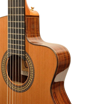 ELEKTRO KLASİK GİTAR FISHMAN PRO BLEND