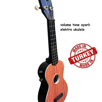 Electric Ukulele