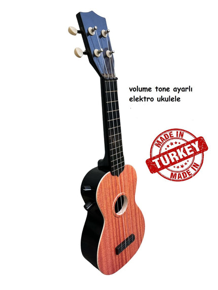 Electric Ukulele