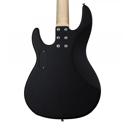 ESP LTD AP-204 Black Satin Bass Guitar 
