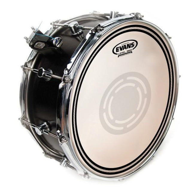 EVANS B14ECSRD 14" DERİ TRAMPET KUMLU FROSTED RİNGLİ ALTTAN DOTLU
