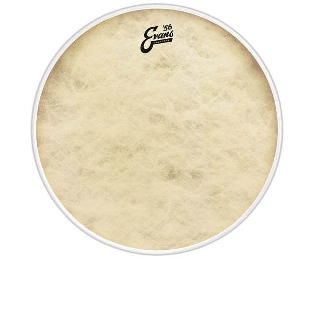 EVANS BD16CT 16" DERİ CALFTONE KİCK VE RESONANT SENTETİK TEK KAT