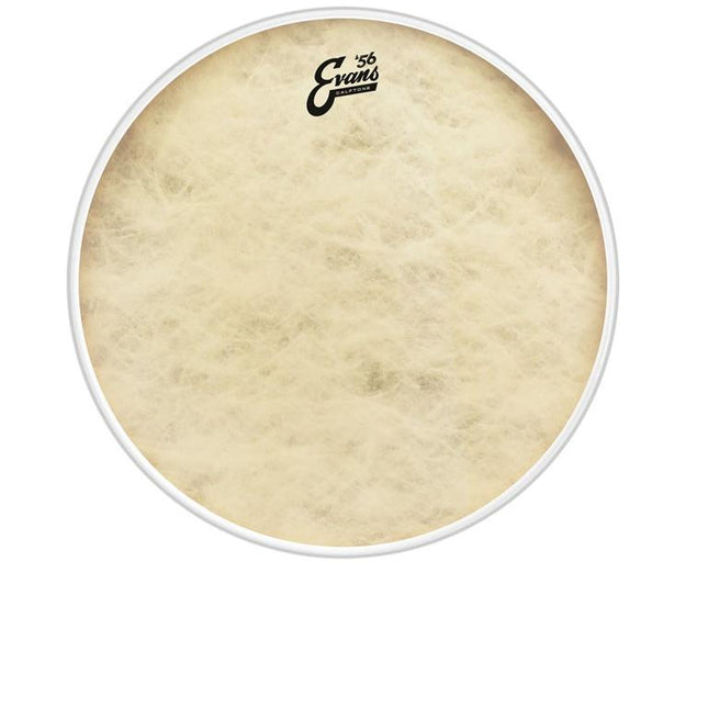 EVANS BD18CT 18" DERİ CALFTONE KİCK VE RESONANT SENTETİK TEK KAT