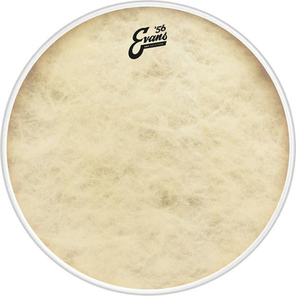 EVANS BD20GB4CT 20" DERİ CALFTONE KİCK VE RESONANT SENTETİK RİNGLİ TEK KAT