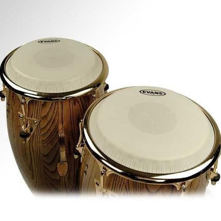 EVANS EC1100E 11" DERİ TRİ-CENTER KONGA EXTENDED