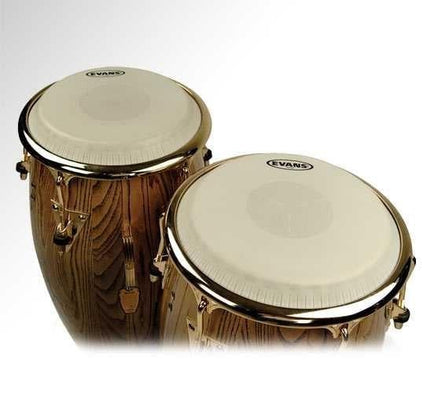 EVANS EC1100E 11" DERİ TRİ-CENTER KONGA EXTENDED