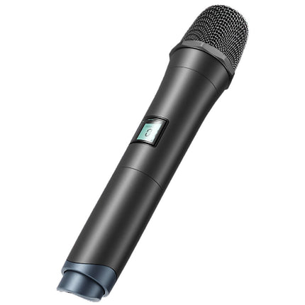 EZ.Mi2 Handheld Mic | Dual-Channel True Diversity Wireless Microphone System