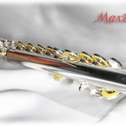 FLÜT C GÜMÜŞ KAPLAMA KUTULU : MAXTONE