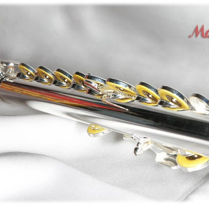 FLÜT C GÜMÜŞ KAPLAMA KUTULU : MAXTONE