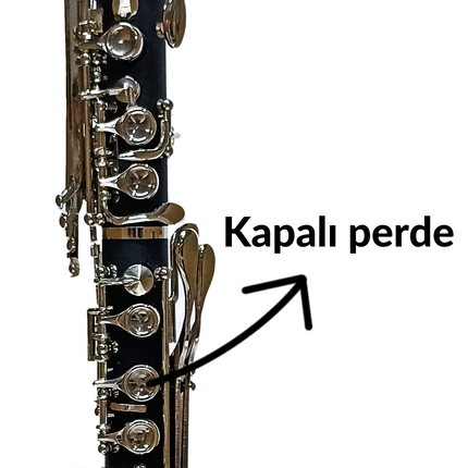 Fox CL2000-BCH Closed-Fret Bb Clarinet 