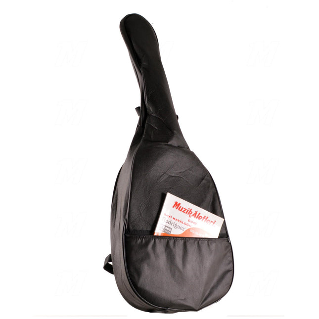 Guitar Accessory 4/4 Classic Case GAKK2