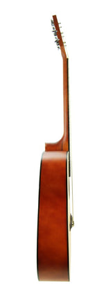 Guitar Acoustic Cutaway Segovia SGA41N
