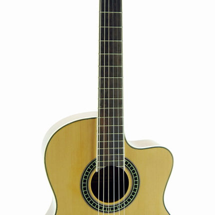 Guitar Classic Cutaway Segovia SGC250