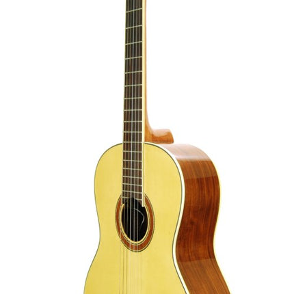 Guitar Classic Segovia Pro SGC300EQ4T with Equalizer
