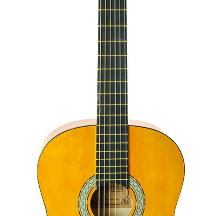 Guitar Classic Segovia SGC100Y