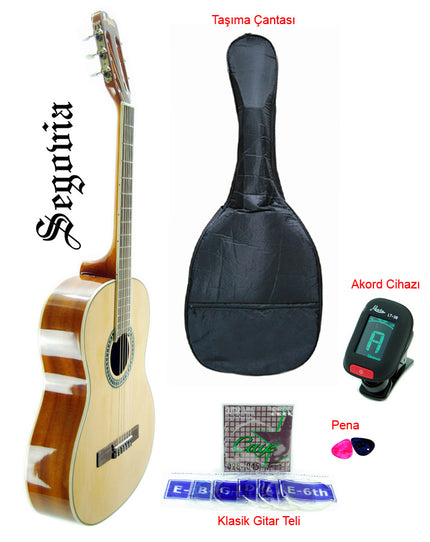 Guitar Classic Segovia SGC200