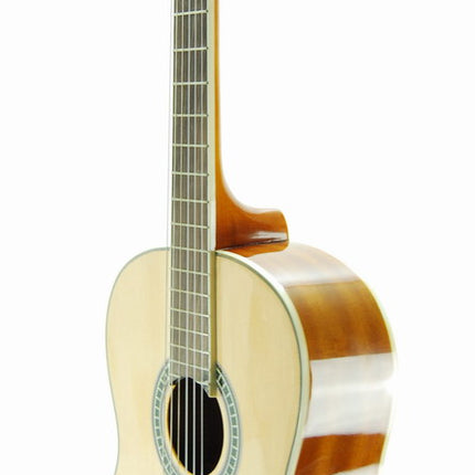 Guitar Classic Segovia SGC200