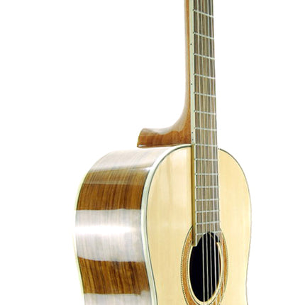 Guitar Classic Segovia SGC300