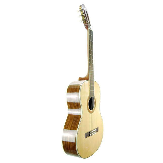Guitar Classic Segovia SGC300