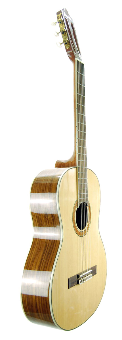 Guitar Classic Segovia SGC300