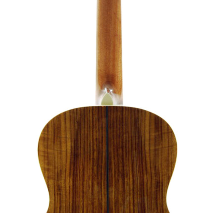 Guitar Classic Segovia SGC300