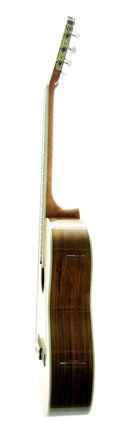 Guitar Classic Segovia SGC300