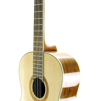 Guitar Classic Segovia SGC300