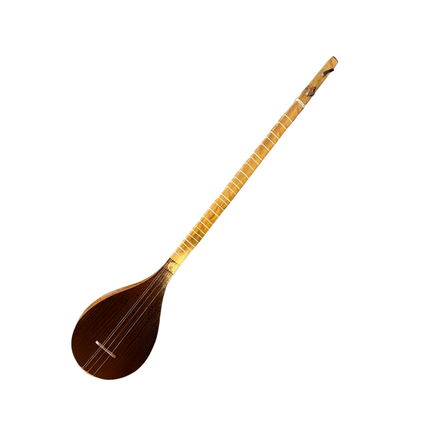 İran Setarı