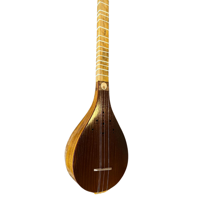 İran Setarı