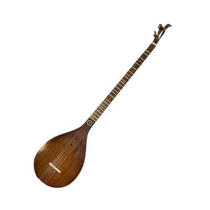 İran Setarı