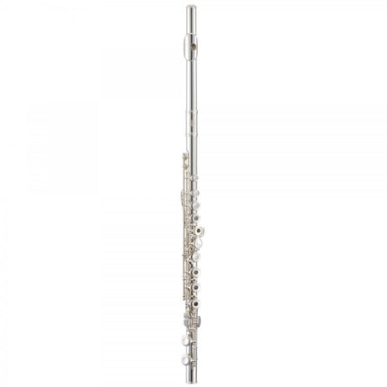 Collection image for: Side Flutes