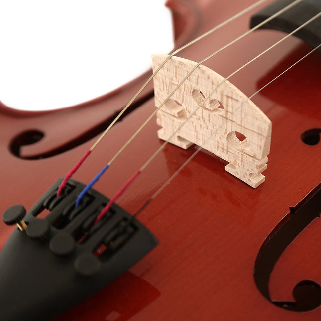 Violin Stanislava Ebony Fingerboard 3/4 STVA34