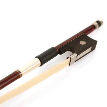 Violin Stanislava Ebony Fingerboard 3/4 STVA34