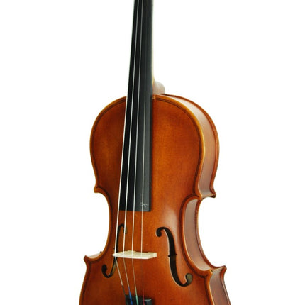Violin Stanislava Matt 4/4 STVM44