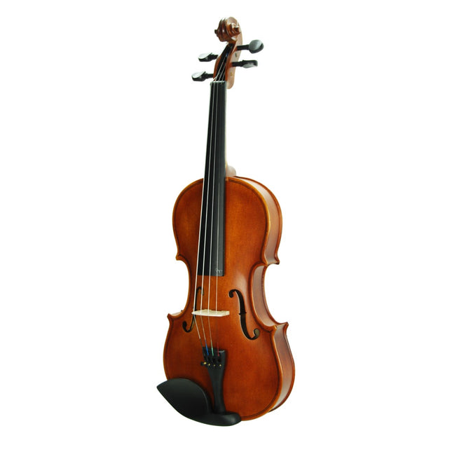 Violin Stanislava Matt 4/4 STVM44