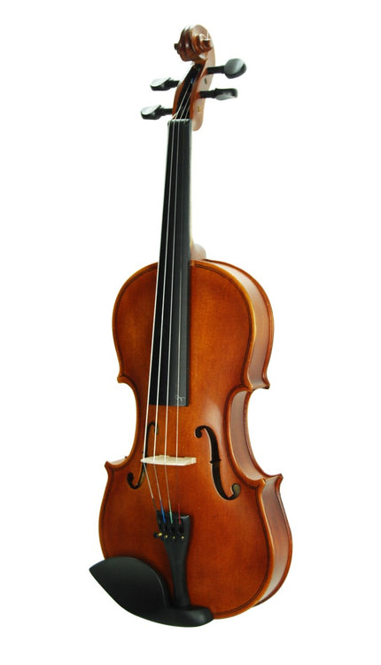 Violin Stanislava Matt 4/4 STVM44
