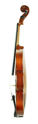 Violin Stanislava Matt 4/4 STVM44