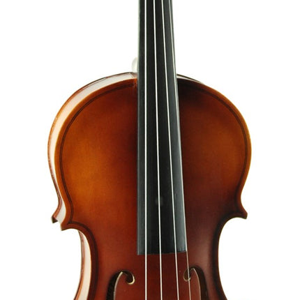 Violin Stanislava Student STV34BR