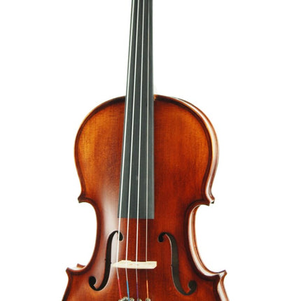 Violin Stanislava Professional Ebony STVPA44