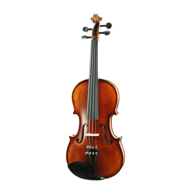 Violin Stanislava Professional Ebony STVPA44