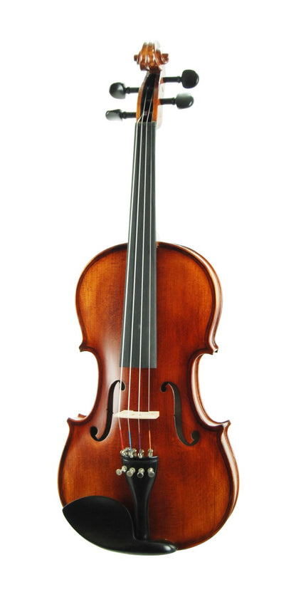 Violin Stanislava Professional Ebony STVPA44
