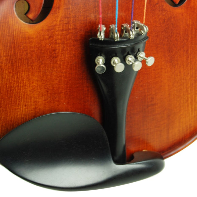 Violin Stanislava Professional Ebony STVPA44