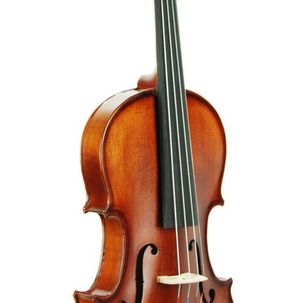 Violin Stanislava Professional Ebony STVPA44