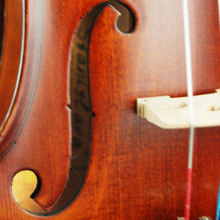 Violin Stanislava Professional Ebony STVPA44