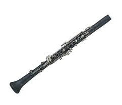 Leblanc Bliss Plastic Clarinet LB320VNPC