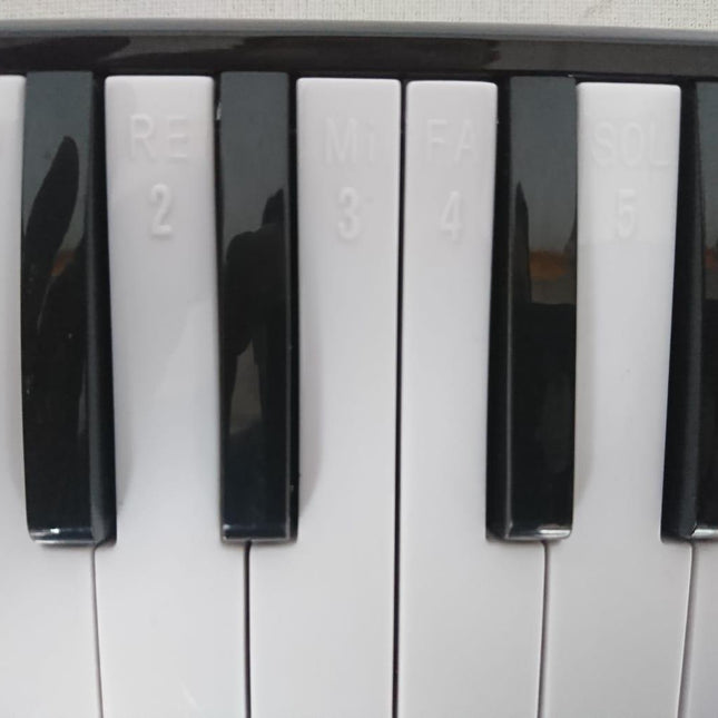 MELODİKA 32 TUŞLU MAVİ RENK 12 Lİ PAKET EVA ÇANTA