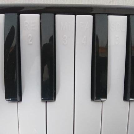 MELODİKA 32 TUŞLU MAVİ RENK EVA ÇANTALI