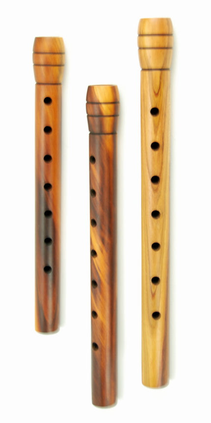 Fruit Apricot Professional MEYKP