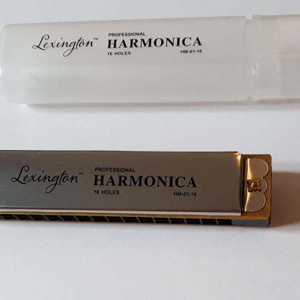 MIZIKA 16 DELİK  PROFESSIONAL HARMONICA